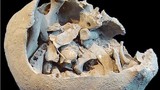 Nghi thức tang lễ rùng rợn ở Brazil gần 10.000 năm trước